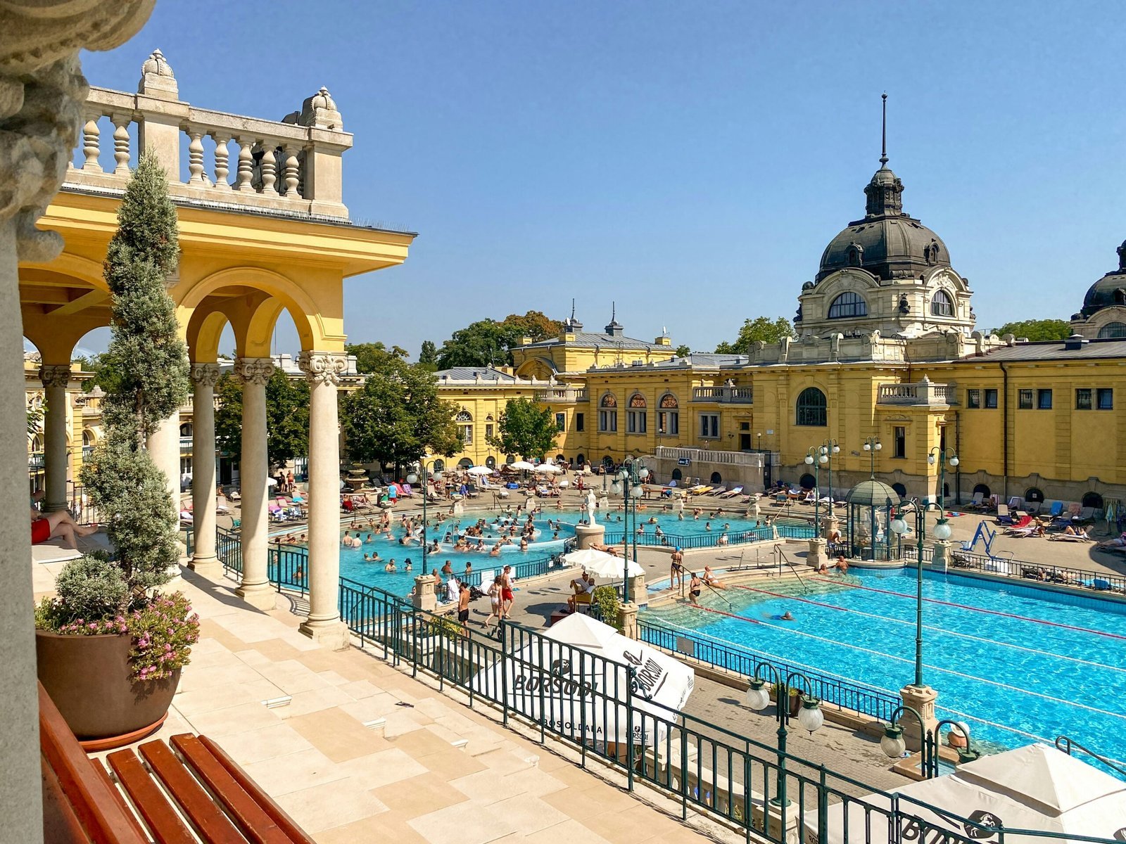 people in swimming pool during daytime